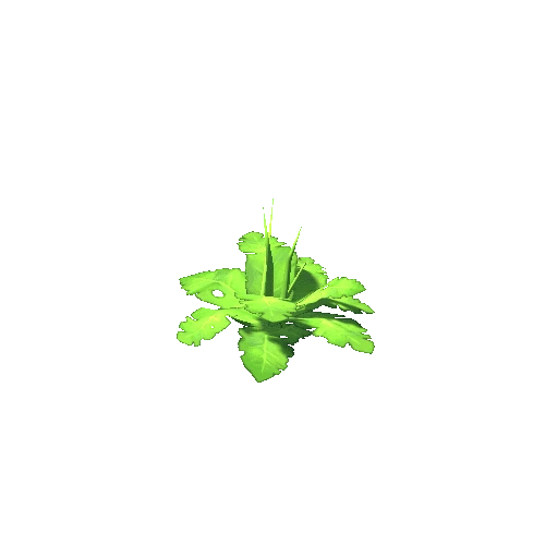 Plant 2